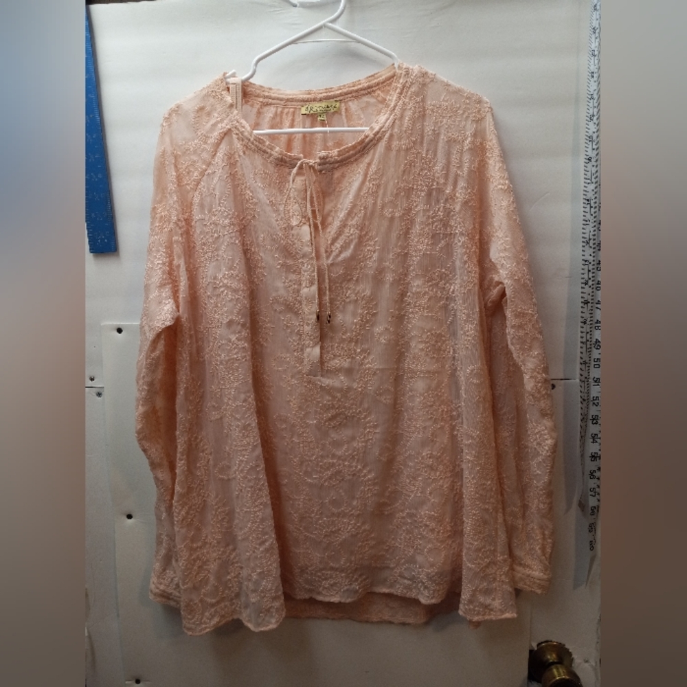 Democracy Embroidered Sheer Cottagecore Blouse Feminine Boho-Chic Elegant Top